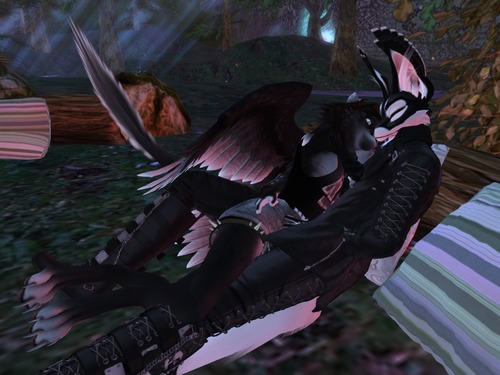 Web 578c3daae85cda39d5000001