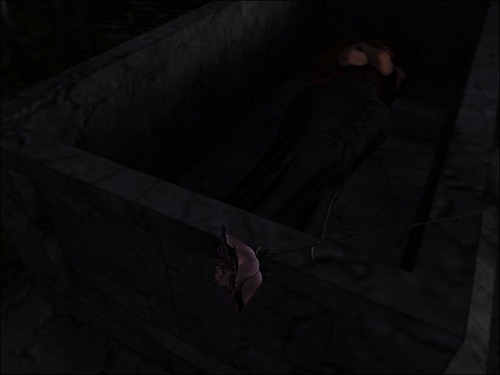 Web 57b23d1cf8a1ec04ec000001