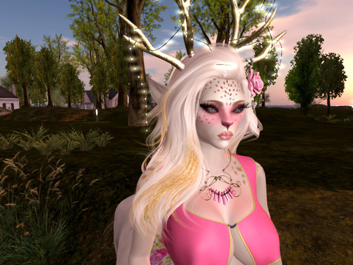 Web 666b11311ec76345e7f13bab