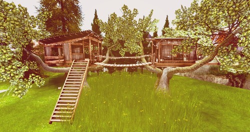 Web 571e84d6b713f73da4000001