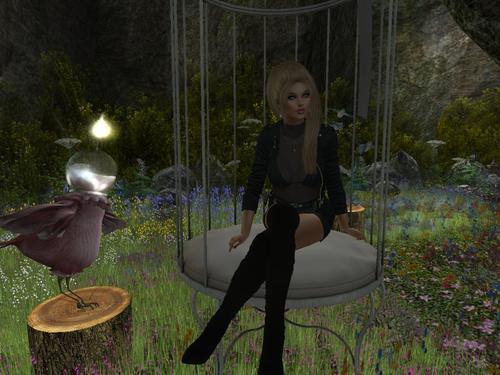 Web 605679d28e398a7ece06b83f