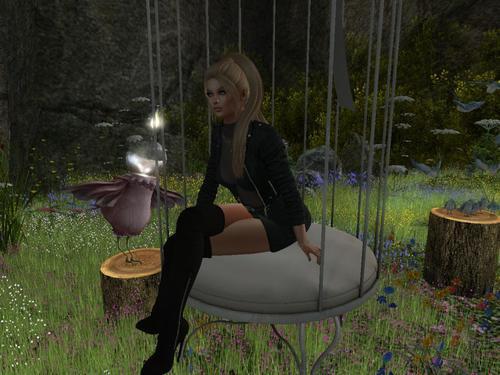 Web 60567a0c2e1a8a4ebcde7604