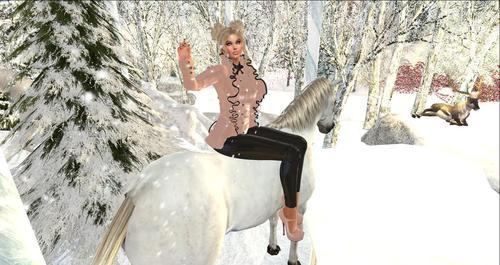 Web 61f4717992aca250332a7733