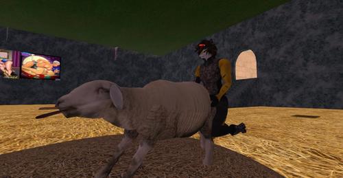 Web 58e1c336d774f83cb2000001