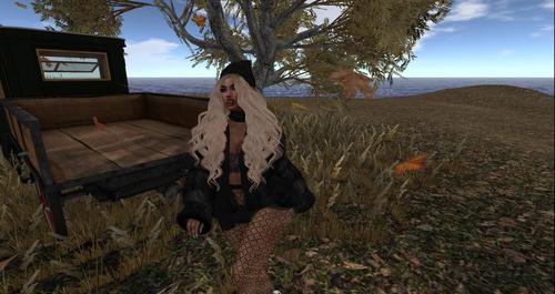 Web 5bb68905289dd24f2b000001