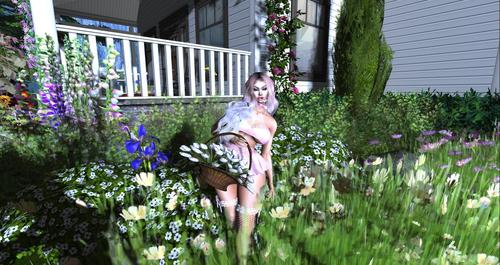 Web 5c1ea287d9859c10d7000001