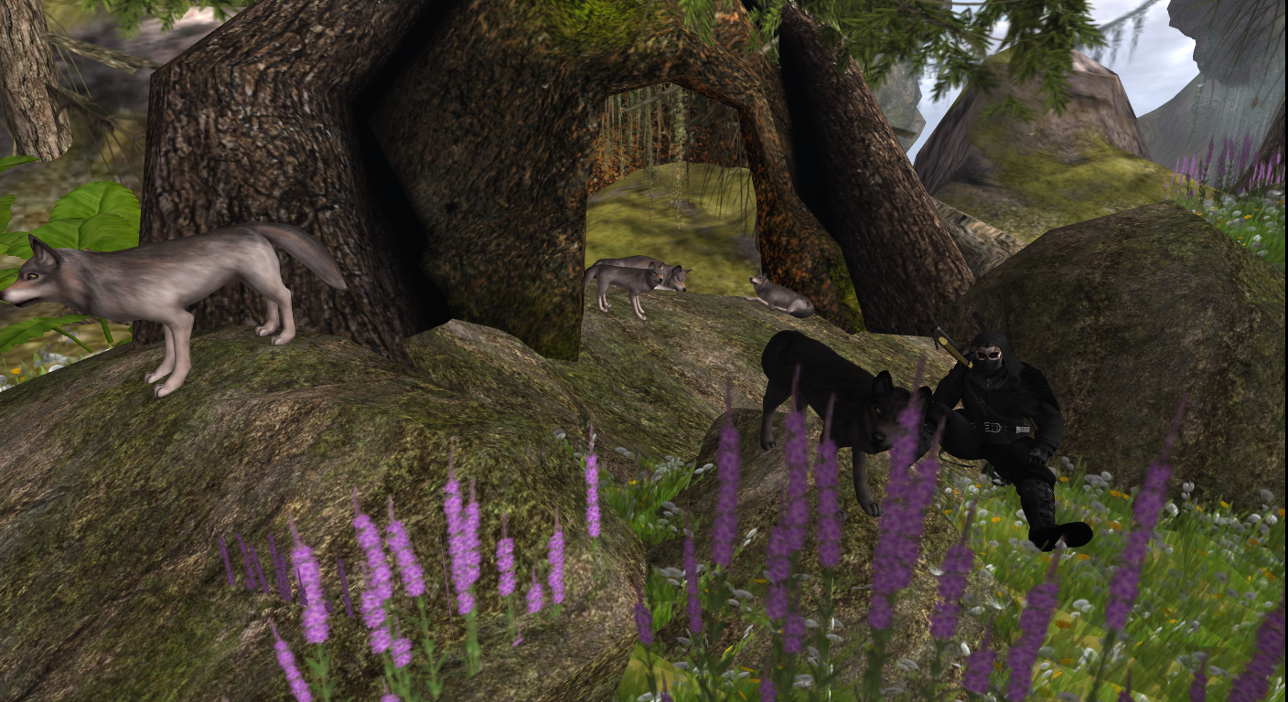 Original 589c3f5ee85cda5a0c000001