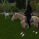 Thumb 57541d33f8a1ec2fbb000001