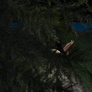 Thumb 5760548cb713f73642000001