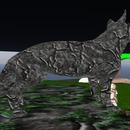 Thumb 5765c908b015403128000001