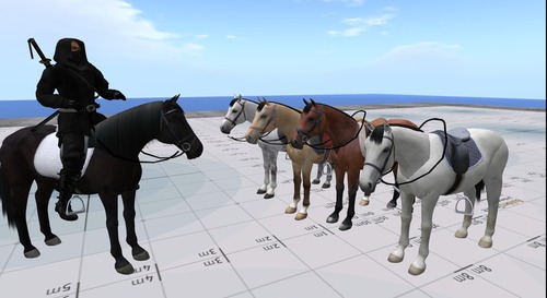 Web 57545553e85cda1fc9000001