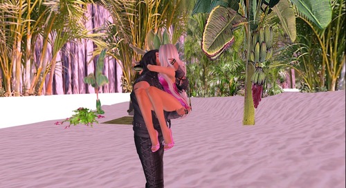 Web 5766b52ef8a1ec621a000001