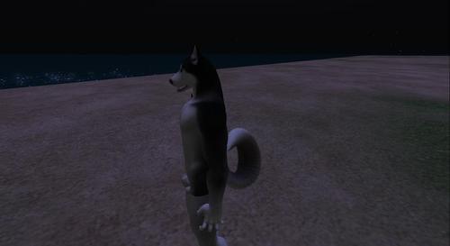 Web 61d21075d0380d215a12ff6f