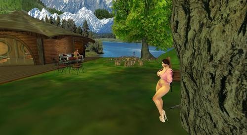 Web 61fdcd01893abf162ea2c14d