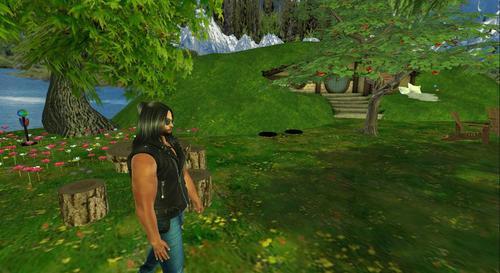 Web 621a84500a90c24db645be7e