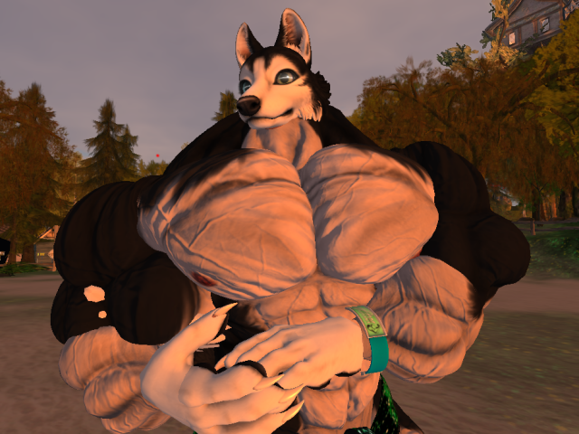 Original 5ad6e5bbd774f86ad0000001