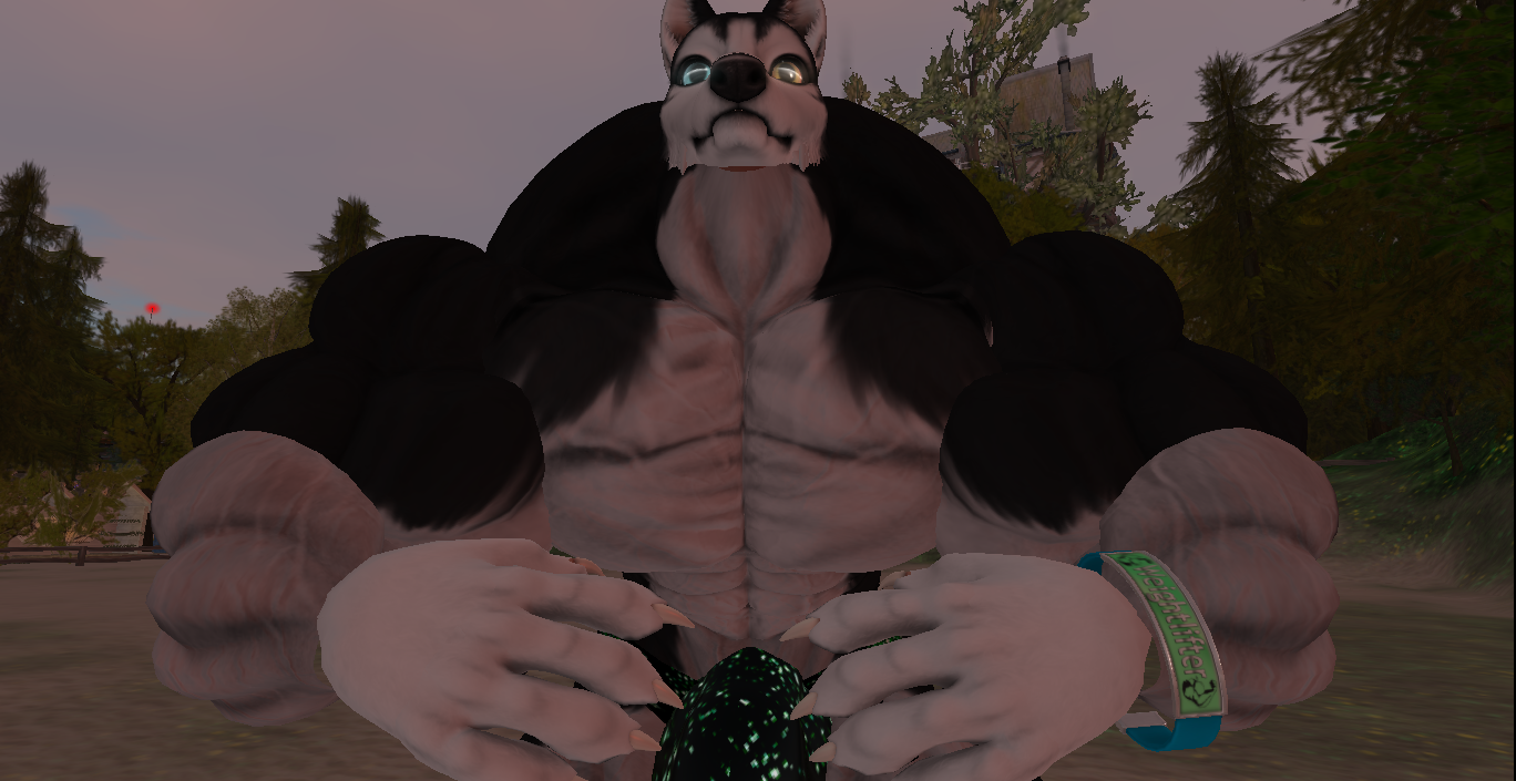 Original 5ad6e5fd289dd27845000001