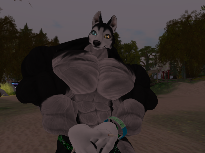 Original 5ad6e674289dd27b24000001