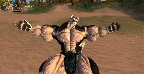 Web 5ad6e3ced9859c4a89000001