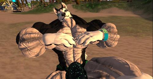 Web 5ad6e3fd73ed175038000001