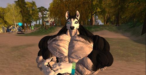 Web 5ad6e41bd774f86239000001