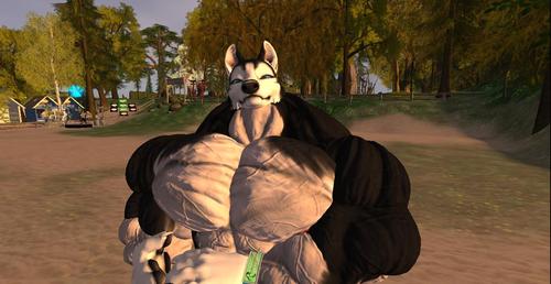 Web 5ad6e42bd9859c4d6f000001