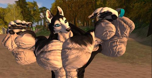 Web 5ad6e44cd9859c4f2f000001