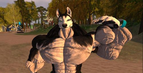 Web 5ad6e464289dd26fe6000001