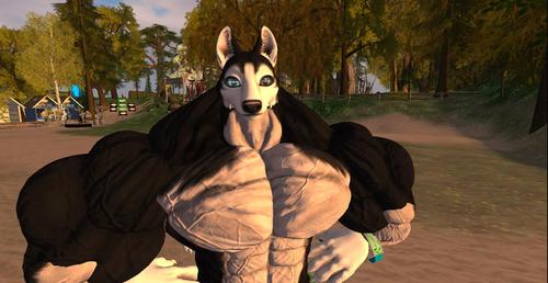 Web 5ad6e47a73ed1752e7000001