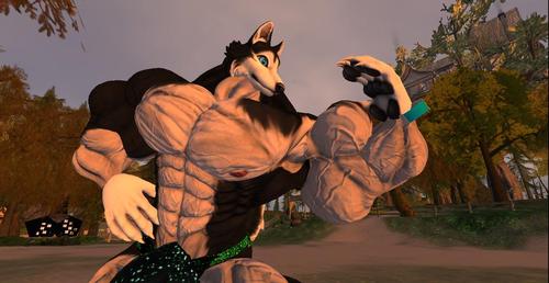 Web 5ad6e58bd9859c5764000001