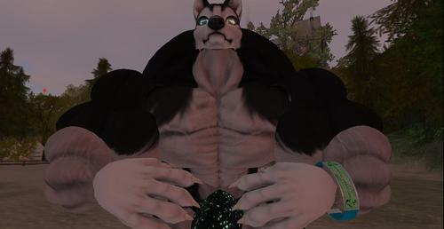 Web 5ad6e5fd289dd27845000001