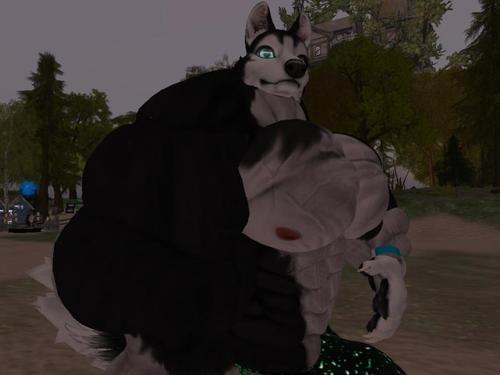 Web 5ad6e647d9859c5ca7000001