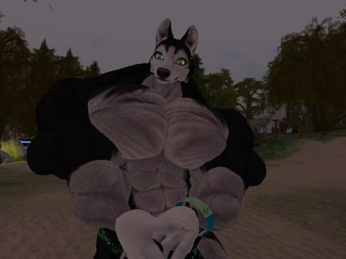 Web 5ad6e674289dd27b24000001