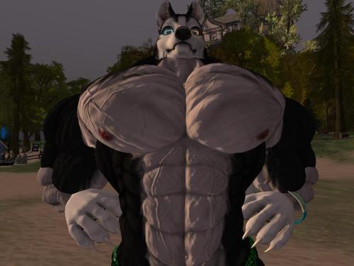 Web 5ad6e6f2d774f87135000001