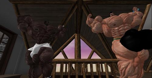 Web 5ae4eb15289dd23cfa000001