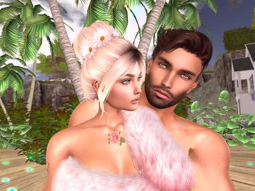 Web 5d07860cd9859c44c9000001