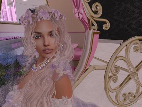 Web 5d09ea7773ed1720e3000001