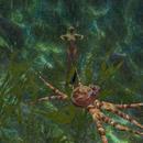 Thumb 6049b444ee3b6c7f8878021f