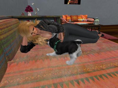 Web 5c263f98d774f80b8b000001