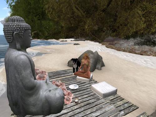 Web 5d16138ed9859c1911000001