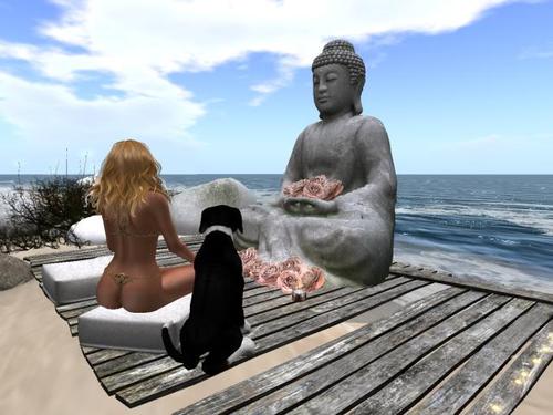 Web 5d1614bbd774f82840000001