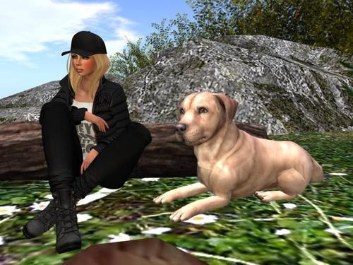 Web 6023a2d8ed8b3d2245ca78e9