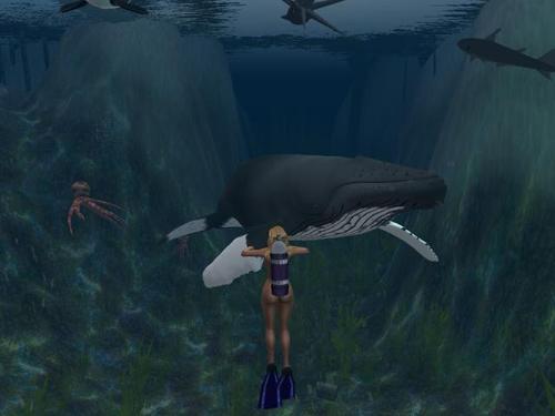 Web 6049b6f8bdc7e2195c5d6395