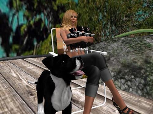 Web 6082c9cadd489c06a350277e