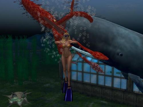 Web 61559e67fc69d665098a4028