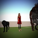 Thumb 58705553b0154050a0000001