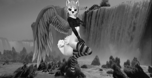 Web 576f1f1bf8a1ec6618000001