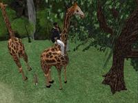 Small 5ac6c5dcd774f874e7000001