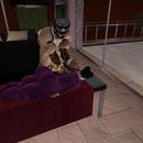 Thumb 5c496da273ed17629b000001