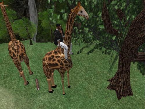 Web 5ac6c5dcd774f874e7000001